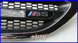 Oem 2013-2016 Bmw F10 M5 Front Right Passenger Fender Grille Turn Signal 12495